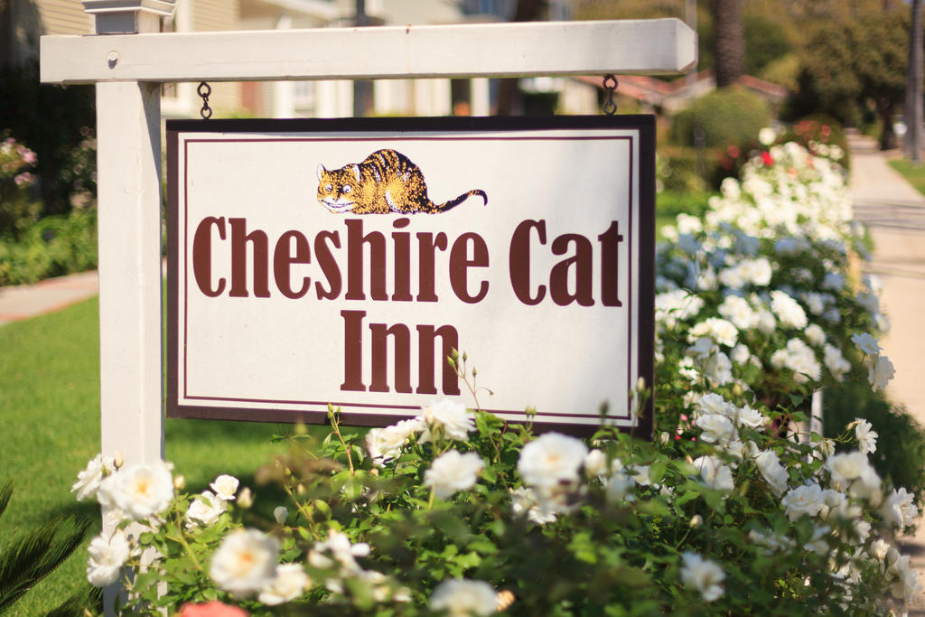 Cheshire Cat Inn & Cottages Santa Barbara Ngoại thất bức ảnh